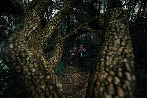 BIB: 
                            <button type="button" onclick="openModal(25693475)" class="btn btn-primary btn-sm float-right btn-popup" data-toggle="modal" data-target=".modal-high-quality">
                        <i class="fas fa-shopping-cart"></i> Add to Cart
                    </button>
                                            <button type="button" onclick="isThisMe(25693475, true)" class="btn btn-success btn-sm float-right btn-popup btn-isme hidden" data-toggle="tooltip" data-placement="bottom" title="นี่คือรูปของคุณใช่ไหม คลิกที่นี่เพื่อเอาเข้าอัลบั้ม">
                        <i class="fas fa-plus"></i> Add to album
                    </button>
                    <button type="button" onclick="isThisMe(25693475, false)" class="btn btn-warning btn-sm float-right btn-popup btn-isnotme hidden">
                        <i class="fas fa-ban"></i> Remove from album
                    </button>